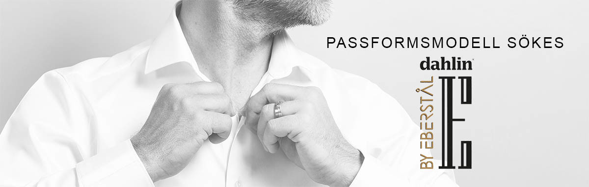 DAHLIN BY EBERSTL SKER PASSFORMSMODELLER