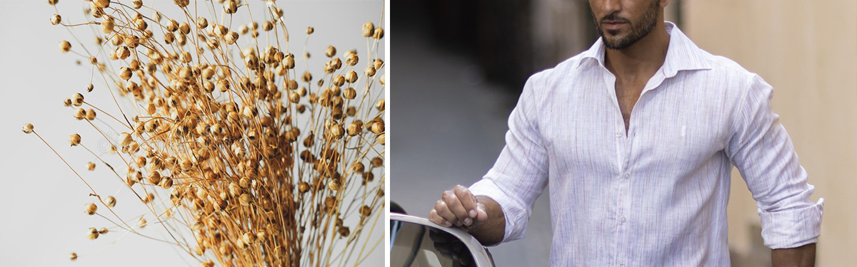 LINNESKJORTAN - ETT SVENSKT KULTURARV 