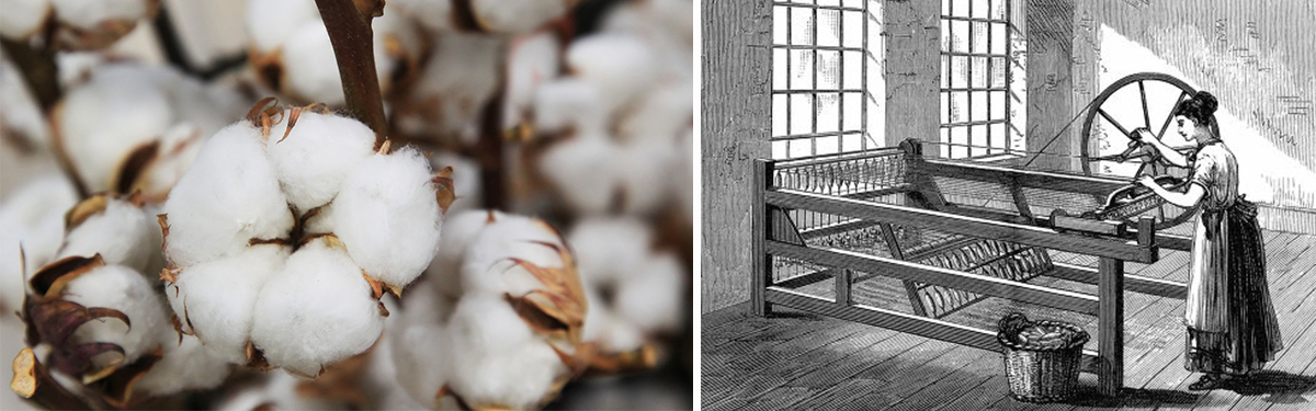 MATERIALGUIDE: LR DIG ALLT OM BOMULLENS EGENSKAPER