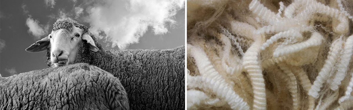 MERINOTRJAN - FRN ULL TILL PLAGG